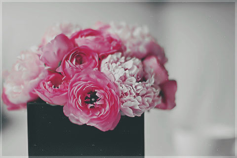 2015 2015 bntpal_1450029964_86