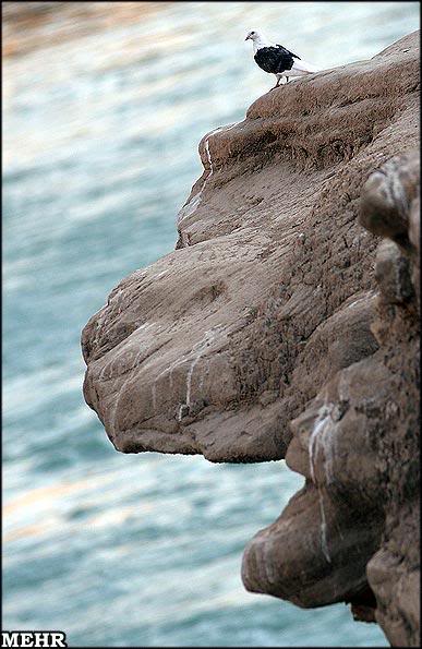 bntpal_1450175047_16