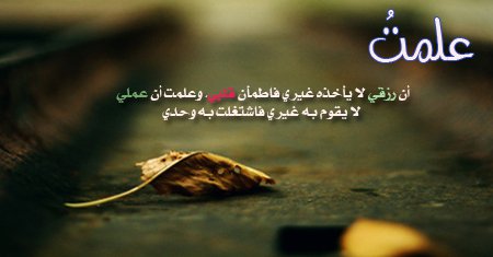 bntpal_1450176214_67
