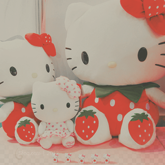 2015 2016 bntpal_1450243885_16