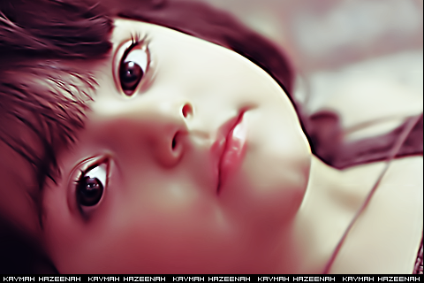 2015 2016 bntpal_1450243968_48