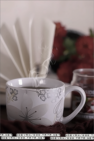  bntpal_1450245965_11