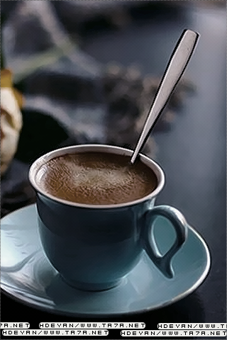  bntpal_1450245969_62