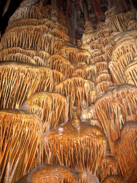 bntpal_1450251831_22
