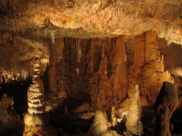 bntpal_1450251832_22
