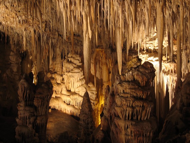 bntpal_1450251832_45