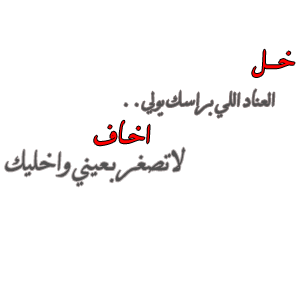  bntpal_1450262677_19