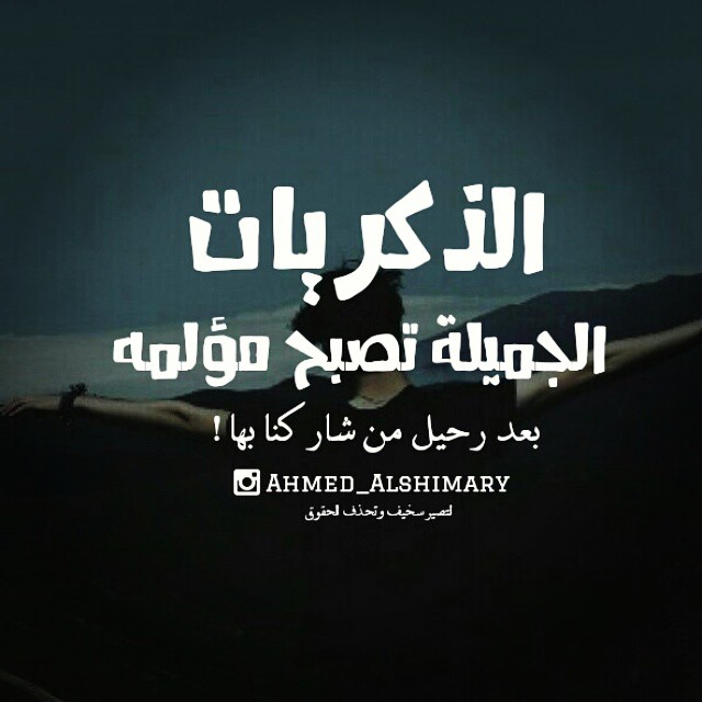  ★ bntpal_1450364898_41