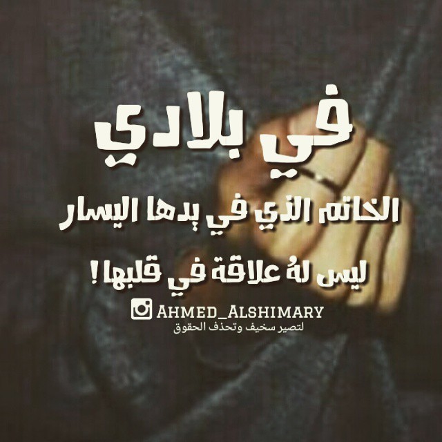 ★ bntpal_1450364899_60