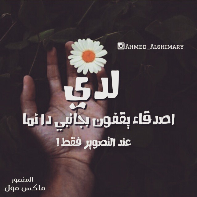 ★ bntpal_1450364905_43