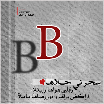 2016 bntpal_1450426609_26