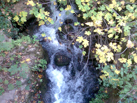  bntpal_1450431230_81