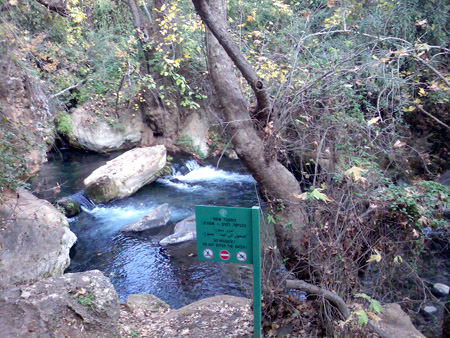  bntpal_1450431231_12