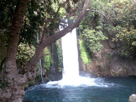  bntpal_1450431233_49