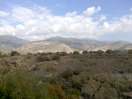  bntpal_1450431234_99