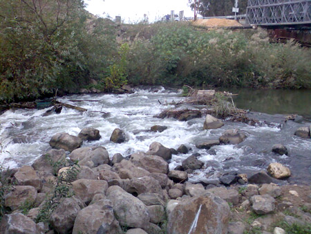  bntpal_1450431235_24