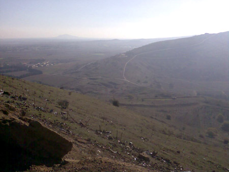 bntpal_1450431237_71