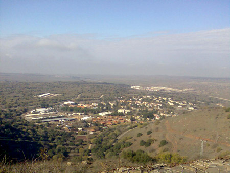  bntpal_1450431241_96