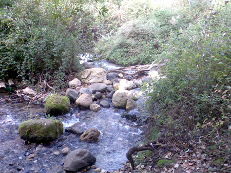  bntpal_1450431242_66