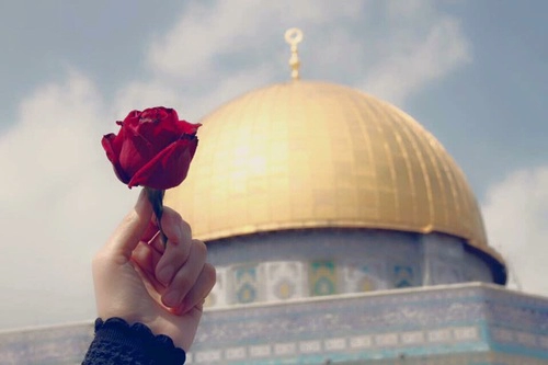  ❤ bntpal_1450454358_86