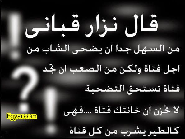  bntpal_1450519780_43