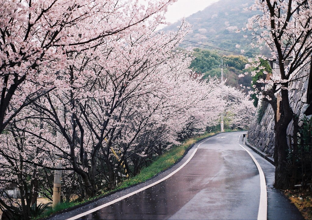  bntpal_1450527939_95