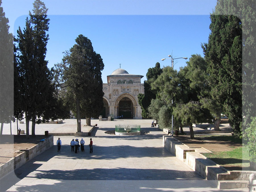 bntpal_1450546821_86