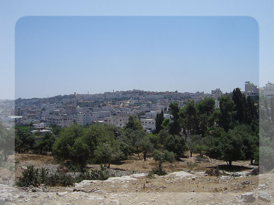 bntpal_1450546837_64