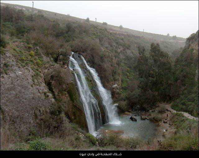 bntpal_1450553475_86