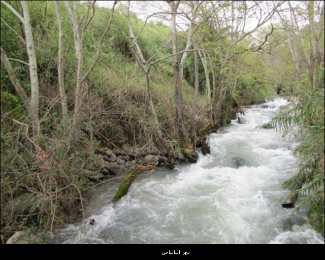 bntpal_1450553489_95