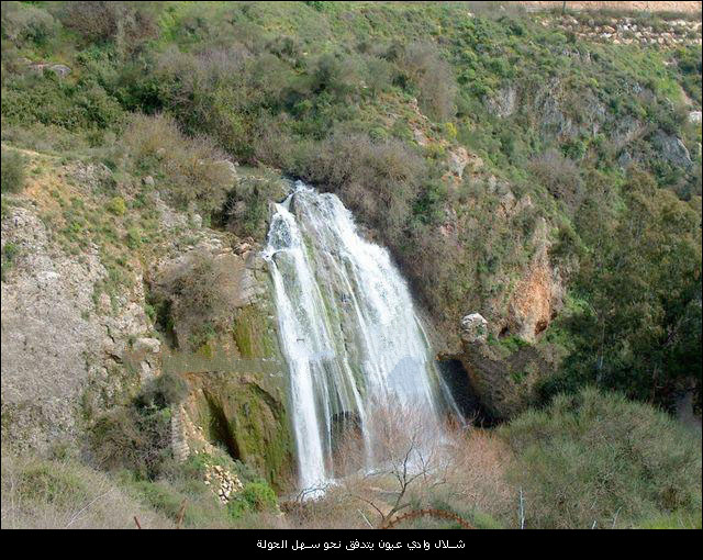 bntpal_1450553490_31