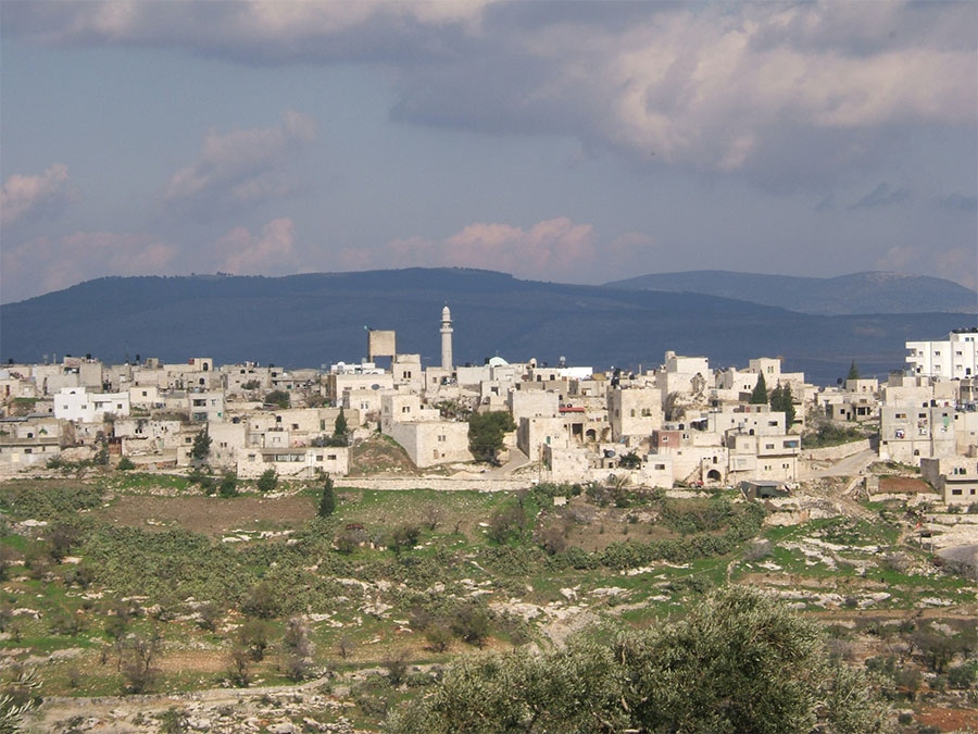 bntpal_1450587723_14