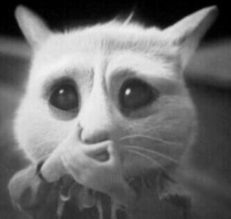 ���� ���� ������ �� ���� ������