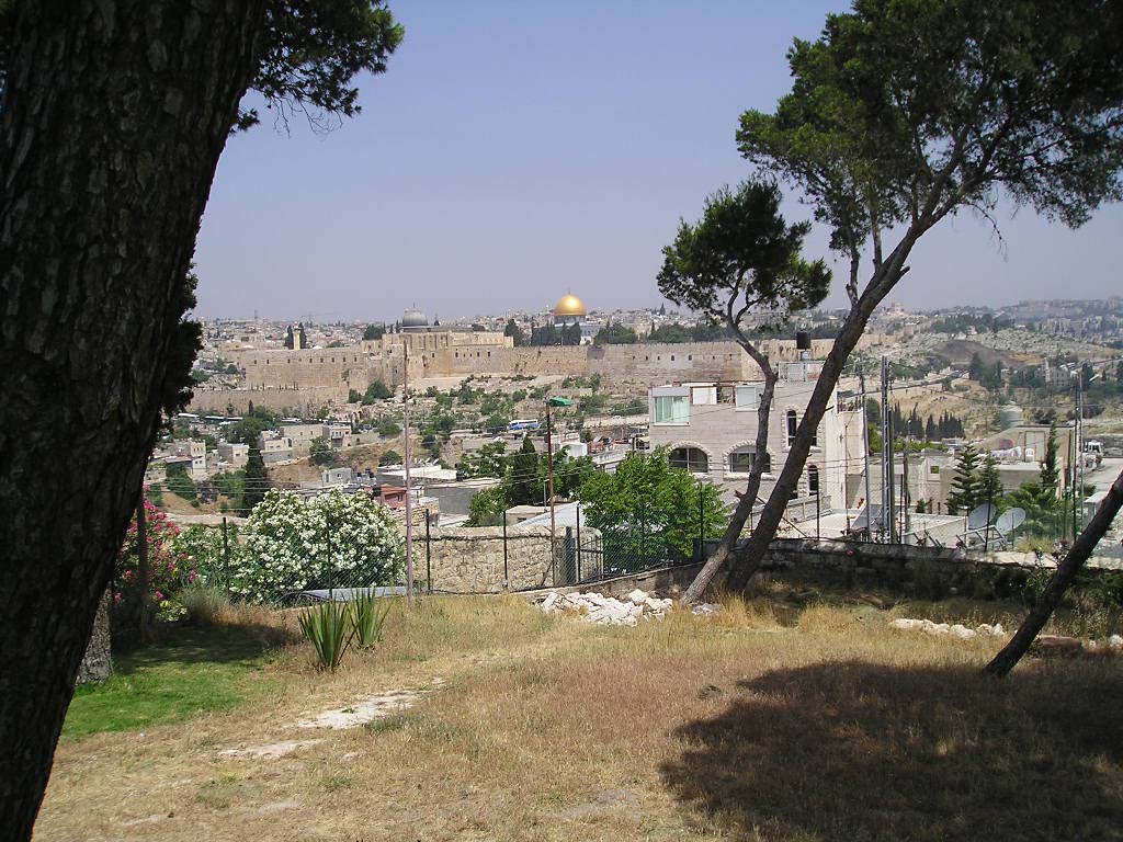 " bntpal_1450630683_47