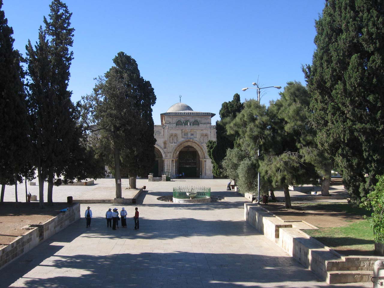 " bntpal_1450630698_93