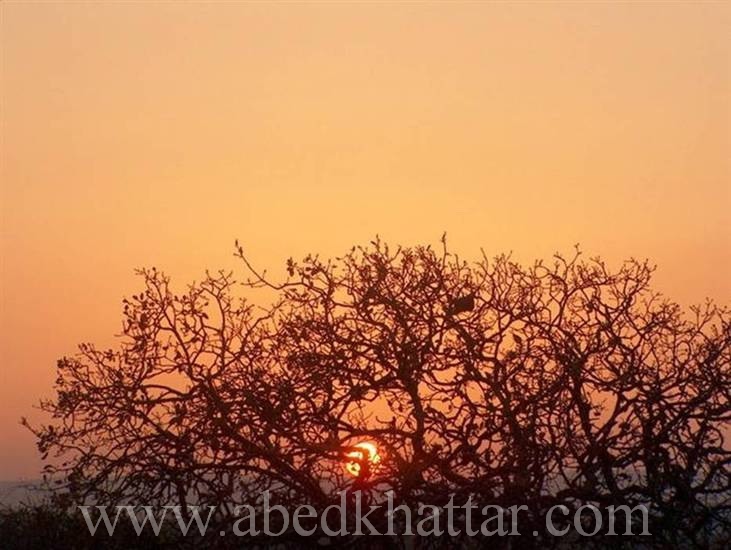 ... bntpal_1450730295_97
