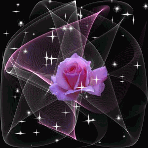bntpal_1450770946_14