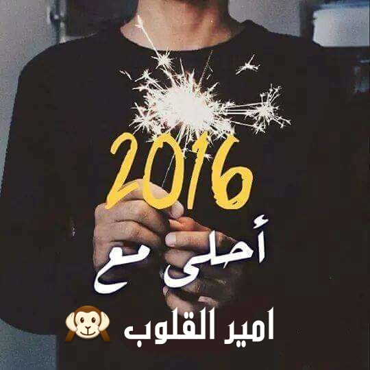 2016 >> ✿ bntpal_1450779200_77