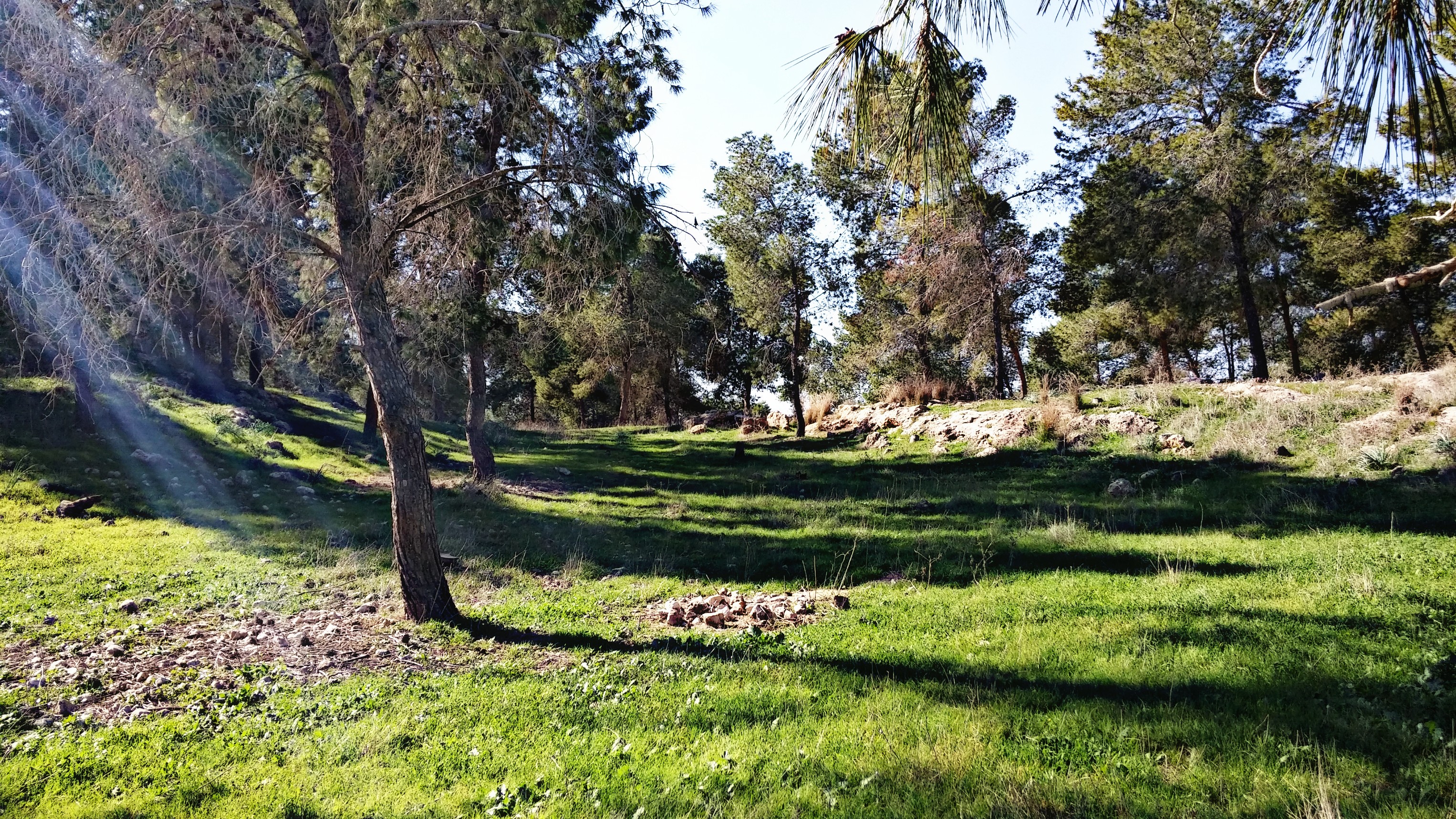 ,, .. bntpal_1450788885_49
