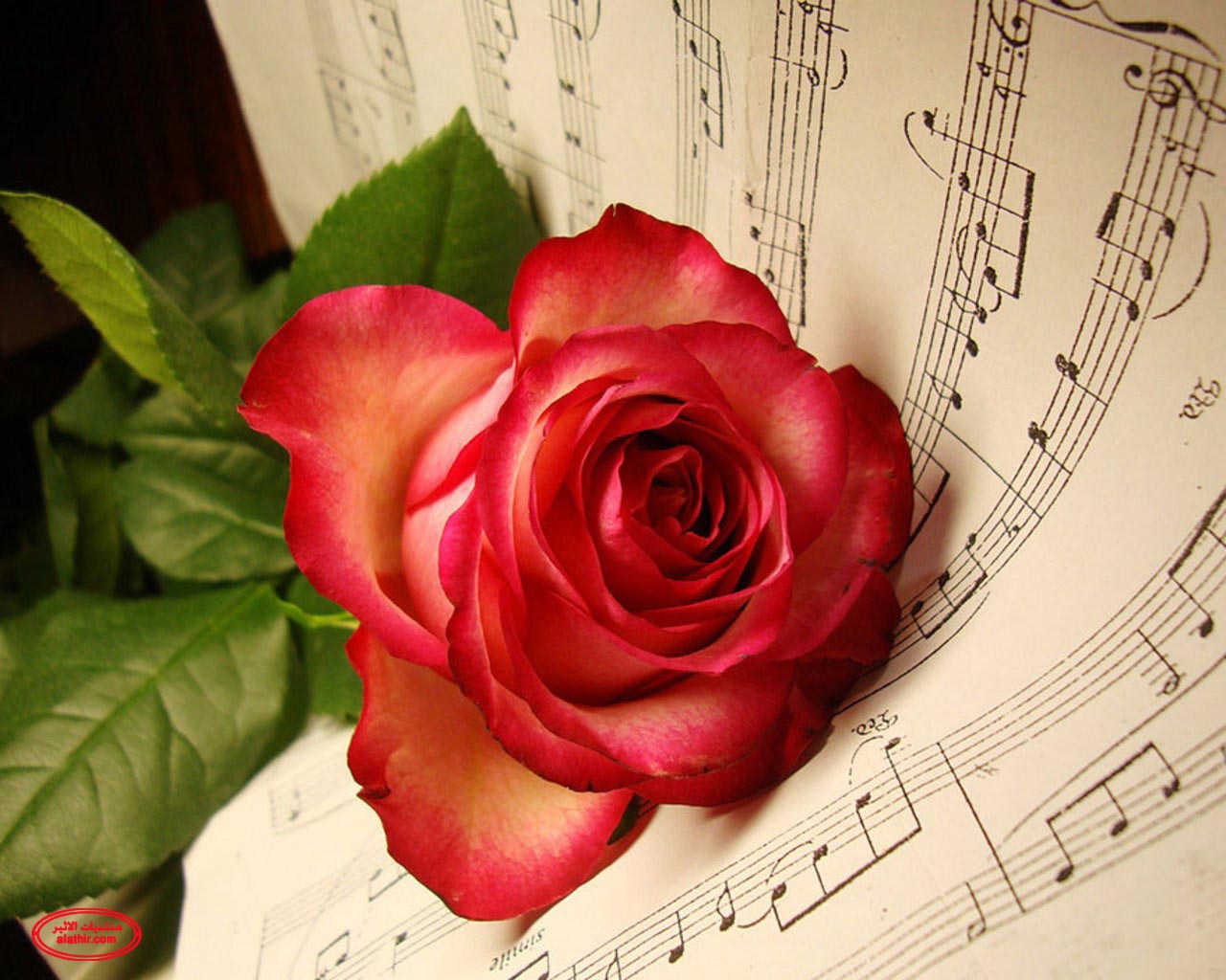 bntpal_1450789248_26