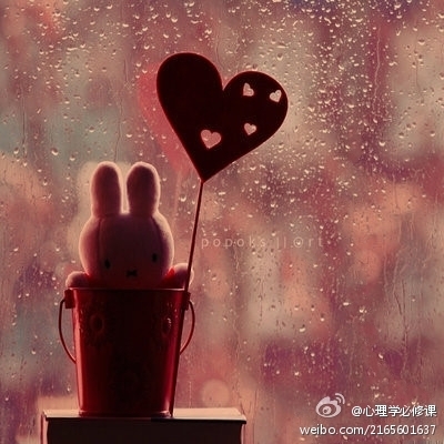 bntpal_1450796030_33