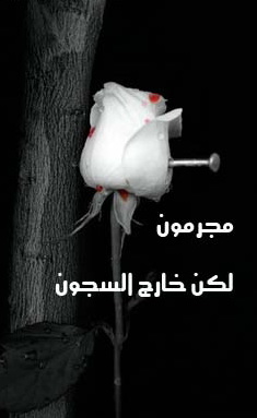 bntpal_1450801619_94