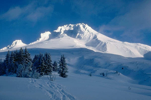 bntpal_1450866535_89
