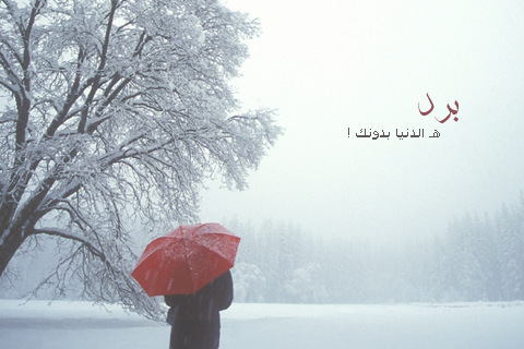 bntpal_1450866536_75