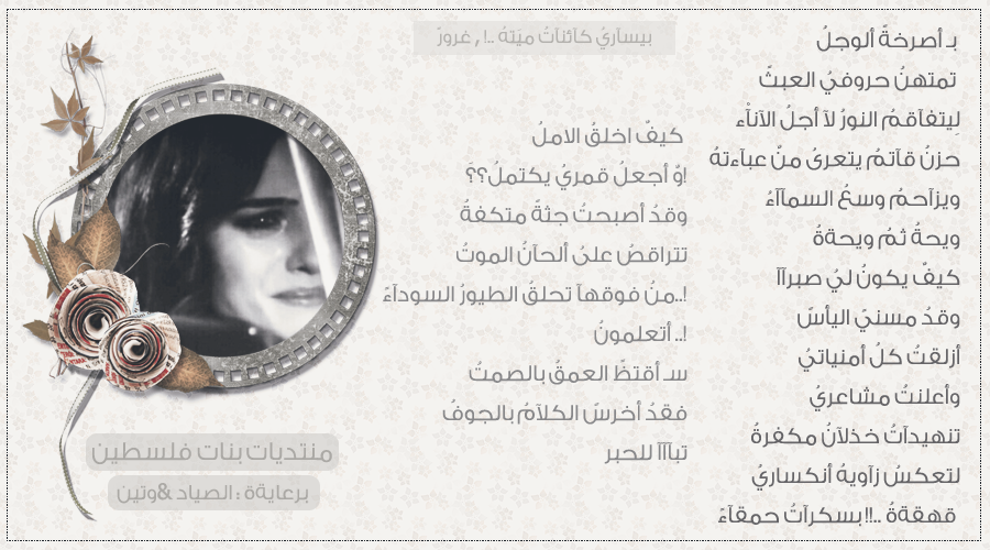★ bntpal_1450888270_91