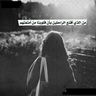 bntpal_1450967985_67