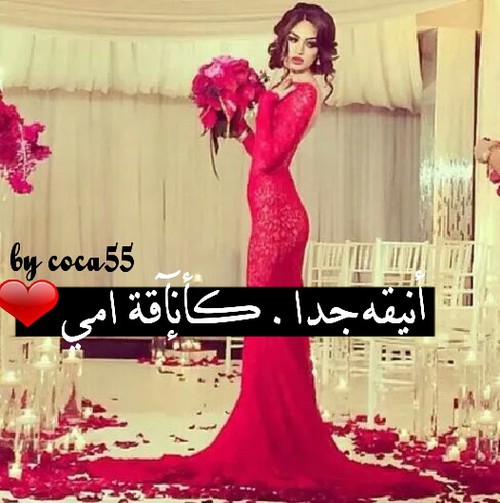  ♥ bntpal_1450994691_59