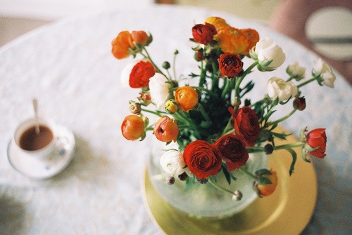 bntpal_1451157846_15