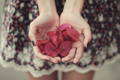 bntpal_1451157861_86