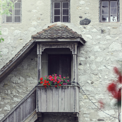 bntpal_1451157866_85